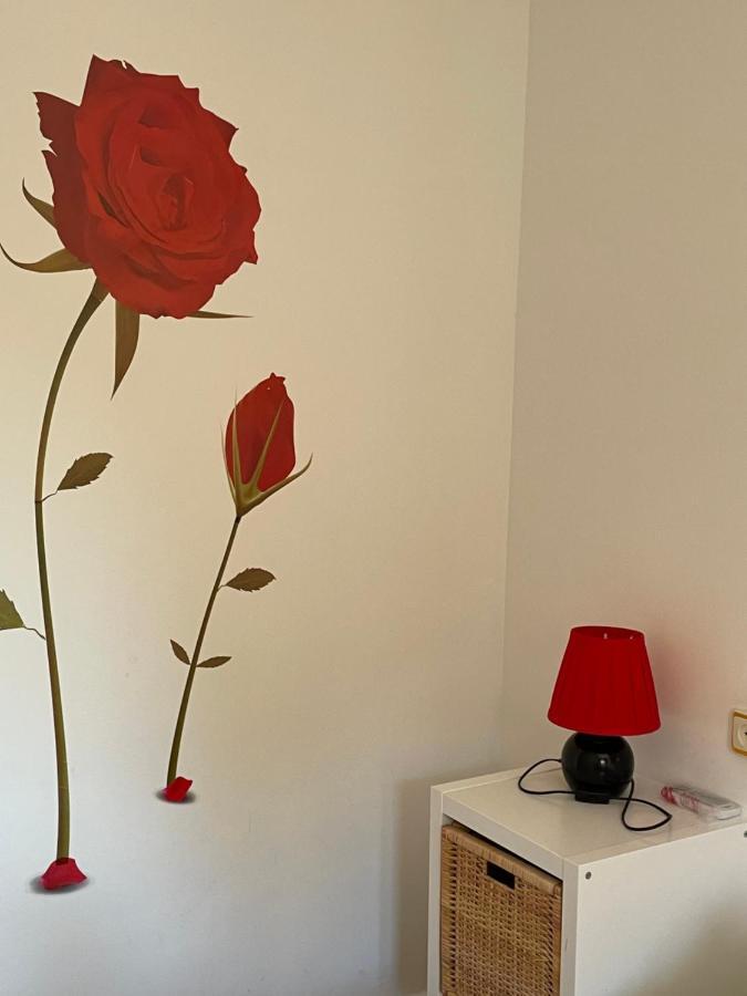 Apartamento Beatriz Cuenca  Esterno foto